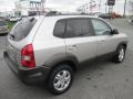Sahara Silver - Tucson GLS V6 4x4 Photo No. 5