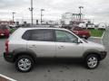 Sahara Silver - Tucson GLS V6 4x4 Photo No. 6