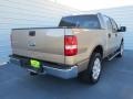 2006 Arizona Beige Metallic Ford F150 XLT SuperCrew  photo #3