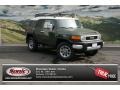 2013 Army Green Toyota FJ Cruiser 4WD  photo #1