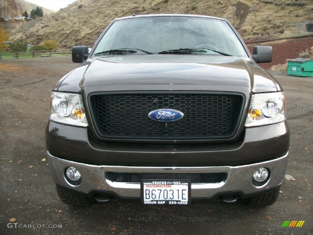 2006 F150 XLT SuperCab 4x4 - Dark Stone Metallic / Medium Flint photo #6