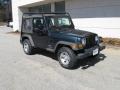 2005 Deep Beryl Green Pearl Jeep Wrangler SE 4x4  photo #1