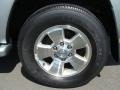 Titanium Metallic - 4Runner Limited 4x4 Photo No. 14