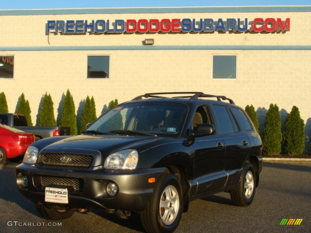 2003 Santa Fe GLS - Black Obsidian / Gray photo #1