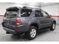 2005 Galactic Gray Mica Toyota 4Runner Limited 4x4  photo #15
