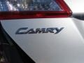 Classic Silver Metallic - Camry LE Photo No. 13