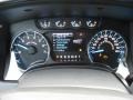 Steel Gray Gauges Photo for 2013 Ford F150 #73201203