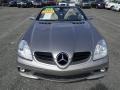 Pewter Metallic - SLK 55 AMG Roadster Photo No. 26