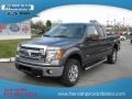 2013 Sterling Gray Metallic Ford F150 XLT SuperCab 4x4  photo #2