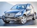 Black - ML 350 Photo No. 11