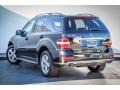 Black - ML 350 Photo No. 12