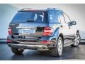 Black - ML 350 Photo No. 13