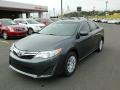 Magnetic Gray Metallic - Camry LE Photo No. 7
