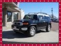 Black Diamond - FJ Cruiser 4WD Photo No. 1
