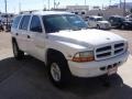 1999 Bright White Dodge Durango SLT 4x4  photo #14