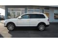 Campanella White - Touareg 2 TDI Photo No. 2