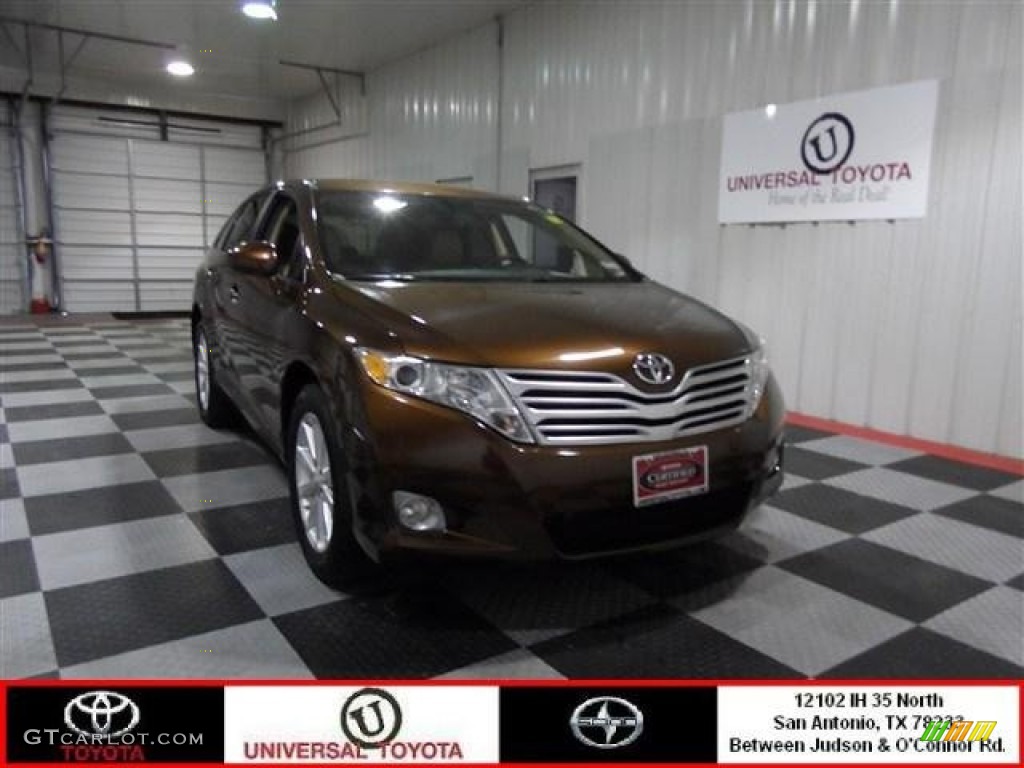 2012 Venza XLE - Sunset Bronze Mica / Ivory photo #1