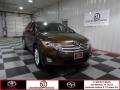 Sunset Bronze Mica 2012 Toyota Venza XLE
