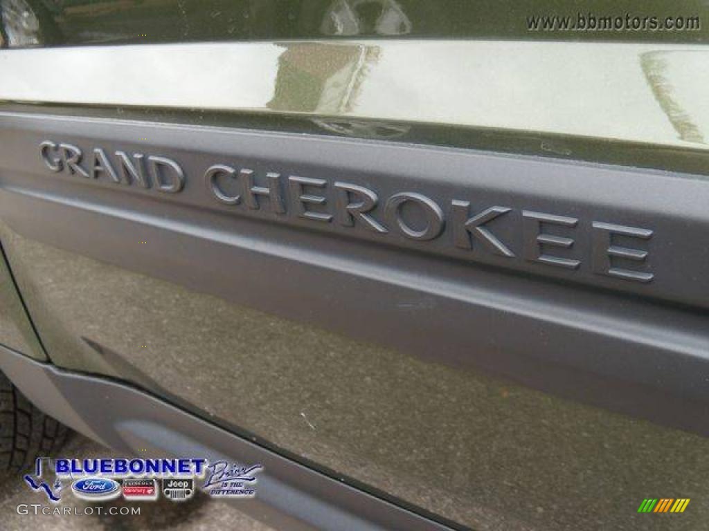 2006 Grand Cherokee Laredo 4x4 - Jeep Green Metallic / Khaki photo #10