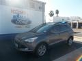 2013 Sterling Gray Metallic Ford Escape SEL 2.0L EcoBoost  photo #2