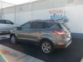 2013 Sterling Gray Metallic Ford Escape SEL 2.0L EcoBoost  photo #4