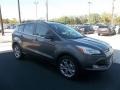 2013 Sterling Gray Metallic Ford Escape SEL 2.0L EcoBoost  photo #16