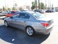 2010 Space Grey Metallic BMW 5 Series 528i Sedan  photo #11