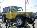2006 Solar Yellow Jeep Wrangler Unlimited 4x4  photo #25