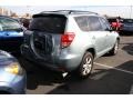 2007 Everglade Metallic Toyota RAV4 Limited  photo #2