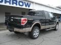 2013 Green Gem Metallic Ford F150 Lariat SuperCab 4x4  photo #8