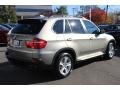 2009 Platinum Bronze Metallic BMW X5 xDrive48i  photo #5