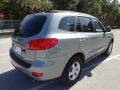 2008 Platinum Sage Hyundai Santa Fe GLS  photo #9