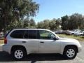 Liquid Silver Metallic - Envoy SLE Photo No. 10