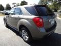 2010 Mocha Steel Metallic Chevrolet Equinox LS  photo #3