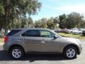 2010 Mocha Steel Metallic Chevrolet Equinox LS  photo #10