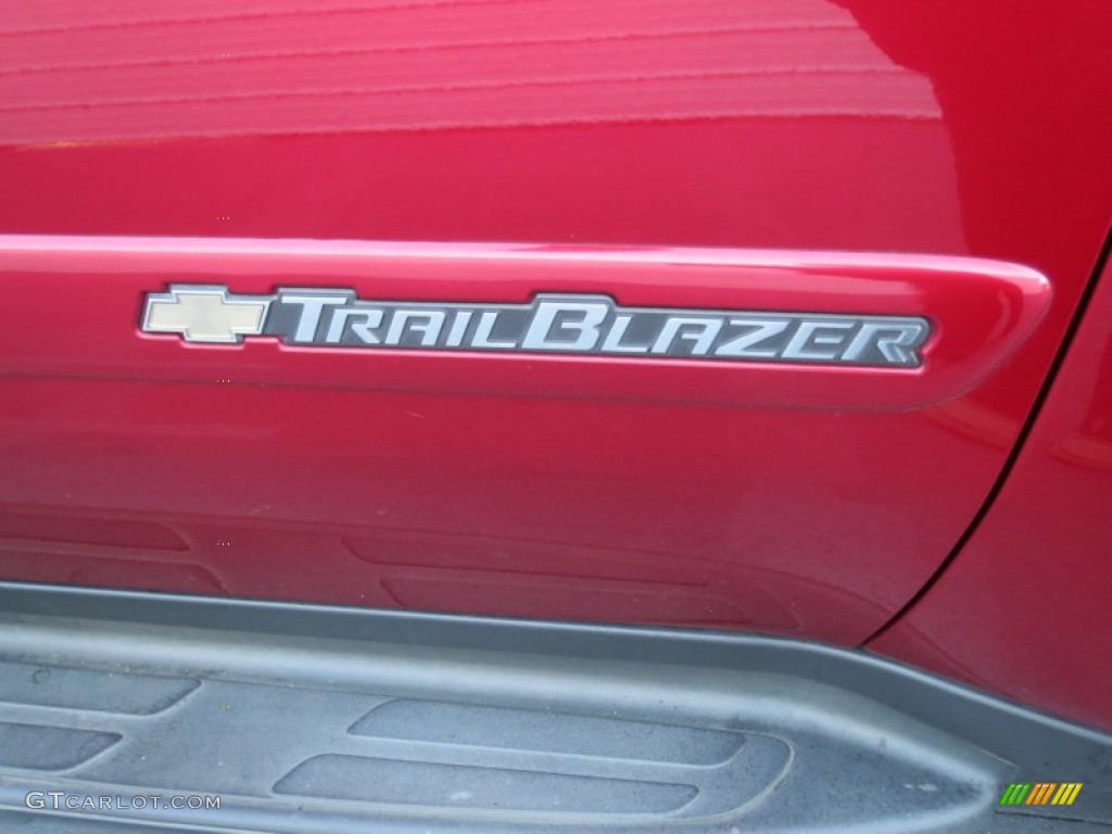 2003 TrailBlazer LT - Majestic Red Metallic / Medium Pewter photo #14