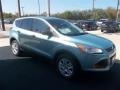 2013 Frosted Glass Metallic Ford Escape S  photo #13
