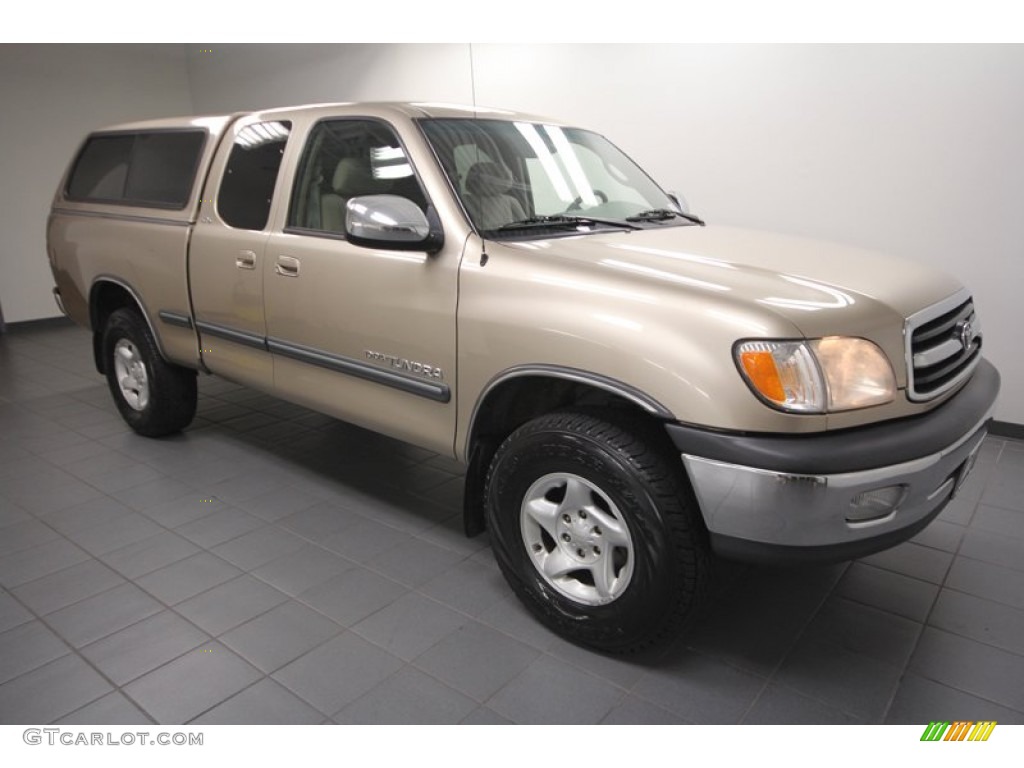 2002 Tundra SR5 Access Cab 4x4 - Desert Sand / Oak photo #8