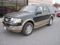 2013 Green Gem Ford Expedition XLT 4x4  photo #2