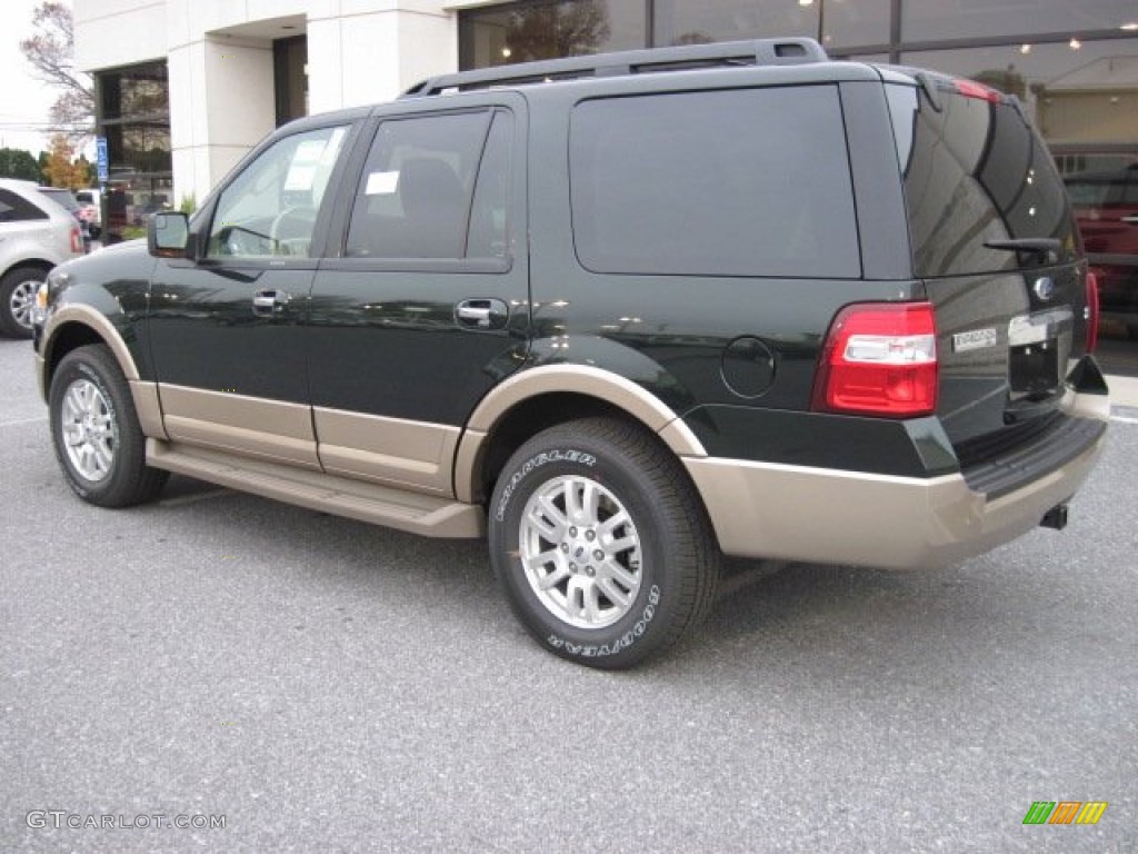 Green Gem 2013 Ford Expedition XLT 4x4 Exterior Photo #73249779