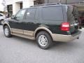 2013 Green Gem Ford Expedition XLT 4x4  photo #3