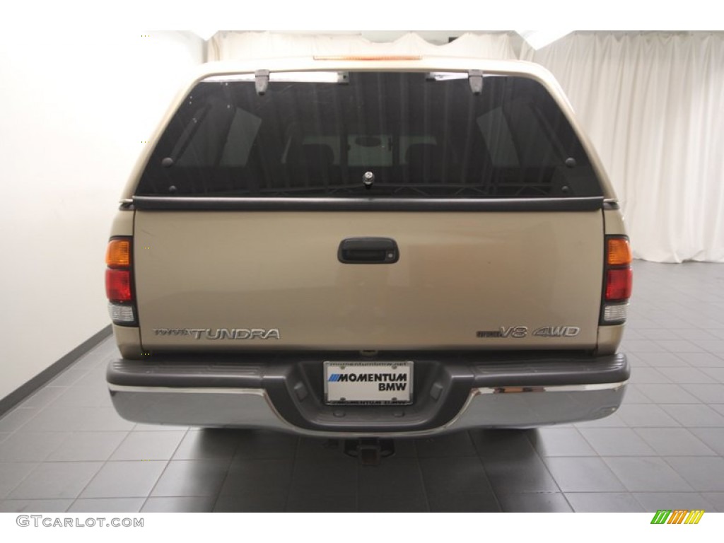 2002 Tundra SR5 Access Cab 4x4 - Desert Sand / Oak photo #11