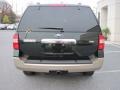 2013 Green Gem Ford Expedition XLT 4x4  photo #4