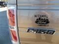 2013 Pale Adobe Metallic Ford F150 XLT SuperCrew  photo #7