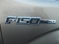 2013 Pale Adobe Metallic Ford F150 XLT SuperCrew  photo #16