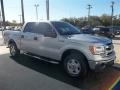 Ingot Silver Metallic - F150 XLT SuperCrew Photo No. 18