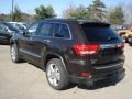 Rugged Brown Pearl - Grand Cherokee Overland Summit 4x4 Photo No. 8
