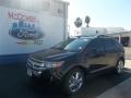 2013 Tuxedo Black Metallic Ford Edge SEL EcoBoost  photo #1