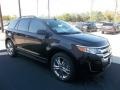 2013 Tuxedo Black Metallic Ford Edge SEL EcoBoost  photo #15