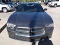 Tungsten Metallic - Charger SE Photo No. 3
